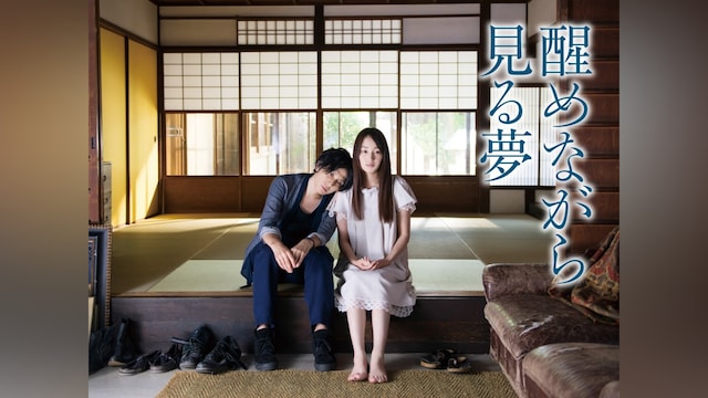 醒めながら見る夢