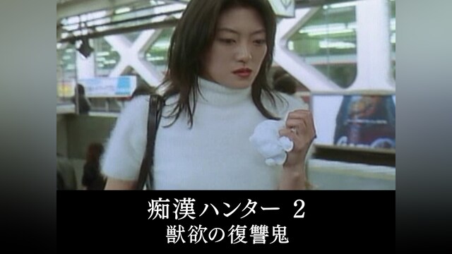 痴漢ハンター 2 獣欲の復讐鬼