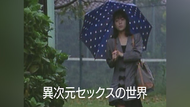 異次元セックスの世界
