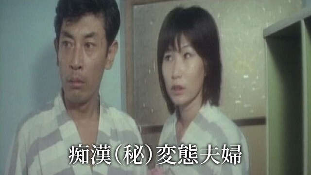 痴漢(秘)変態夫婦