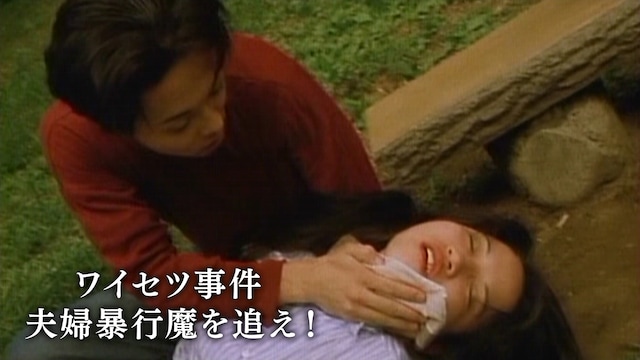 ワイセツ事件　夫婦暴行魔を追え！