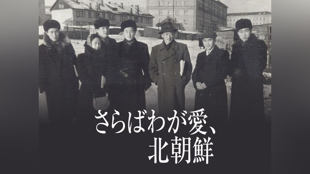 さらばわが愛、北朝鮮