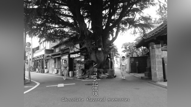 ショコラ記憶珠