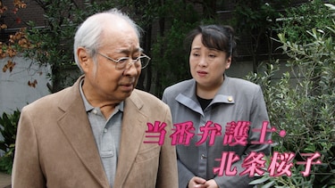 当番弁護士・北条桜子