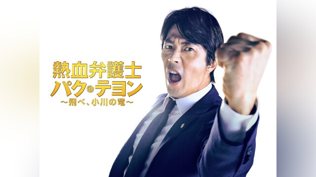 熱血弁護士パク・テヨン～飛べ、小川の竜～