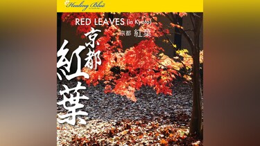 【Healing Blueヒーリングブルー】京都・紅葉 RED LEAVES in Kyoto