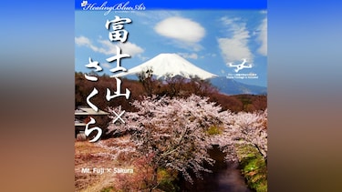 【Healing Blue Airヒーリングブルー・エア】富士山×さくら