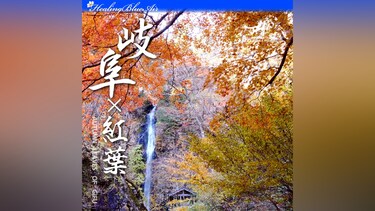 【Healing Blue Air ヒーリングブルー・エア】岐阜×紅葉 AUTUMN LEAVES OF GIFU