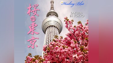 【Healing Blueヒーリングブルー】桜in東京　SAKURA in TOKYO