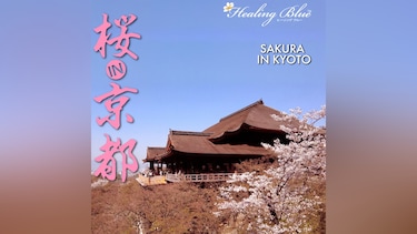 【Healing Blueヒーリングブルー】桜in京都　SAKURA in KYOTO