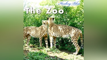 【Healing Blueヒーリングブルー】The Zoo