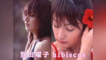 熊田曜子 hibiscus