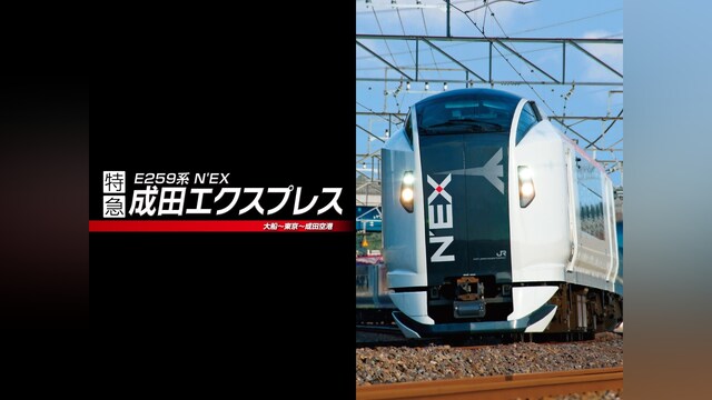 E259系　成田エクスプレス