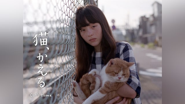 猫、かえる Cat’s Home