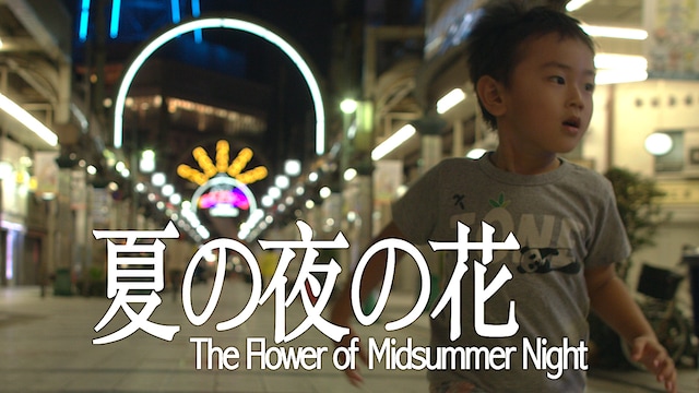夏の夜の花