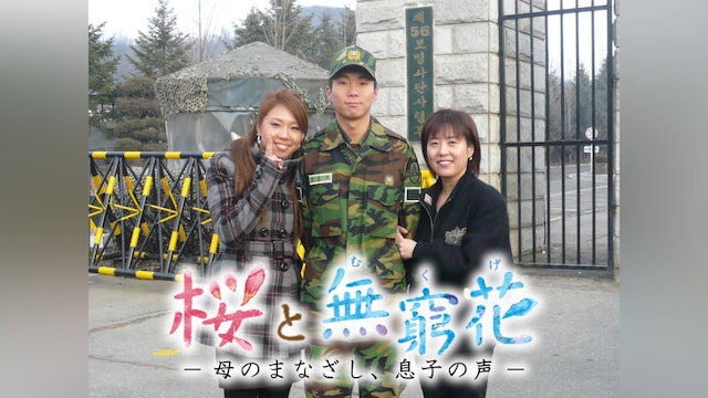 桜と無窮花
