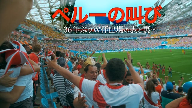 ペルーの叫び~36年ぶりW杯出場の表と裏~