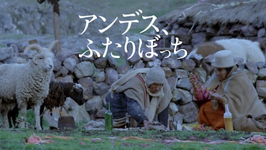 アンデス、ふたりぼっち