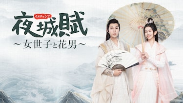 夜城賊~女世子と花男~