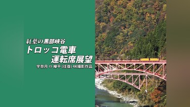 紅葉の黒部峡谷トロッコ電車運転席展望