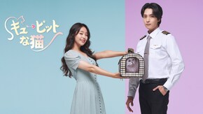 第1話~第8話、SP 前編~SP 後編