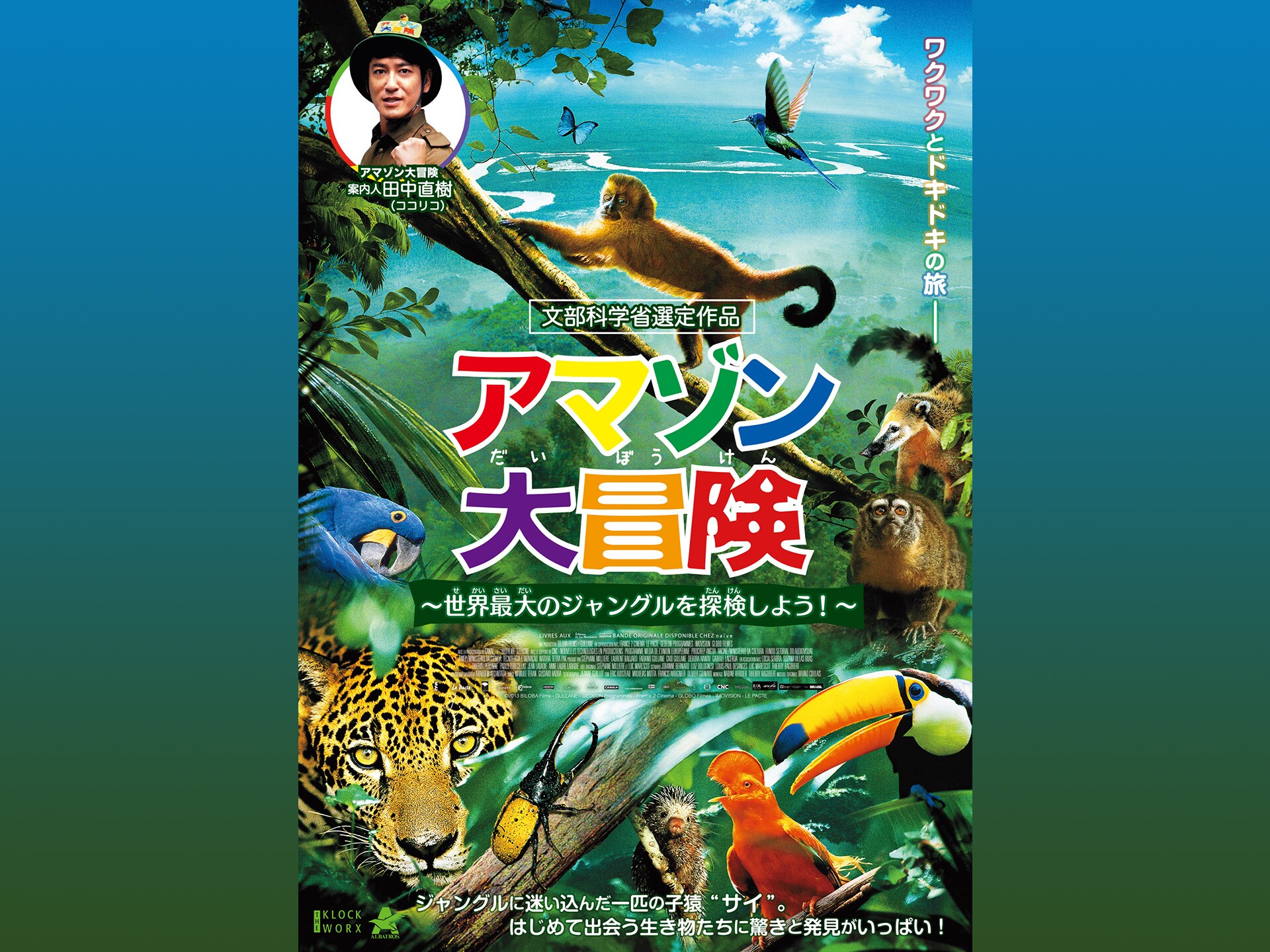 映画 アマゾン大冒険 世界最大のジャングルを探検しよう の動画 初月無料 動画配信サービスのビデオマーケット