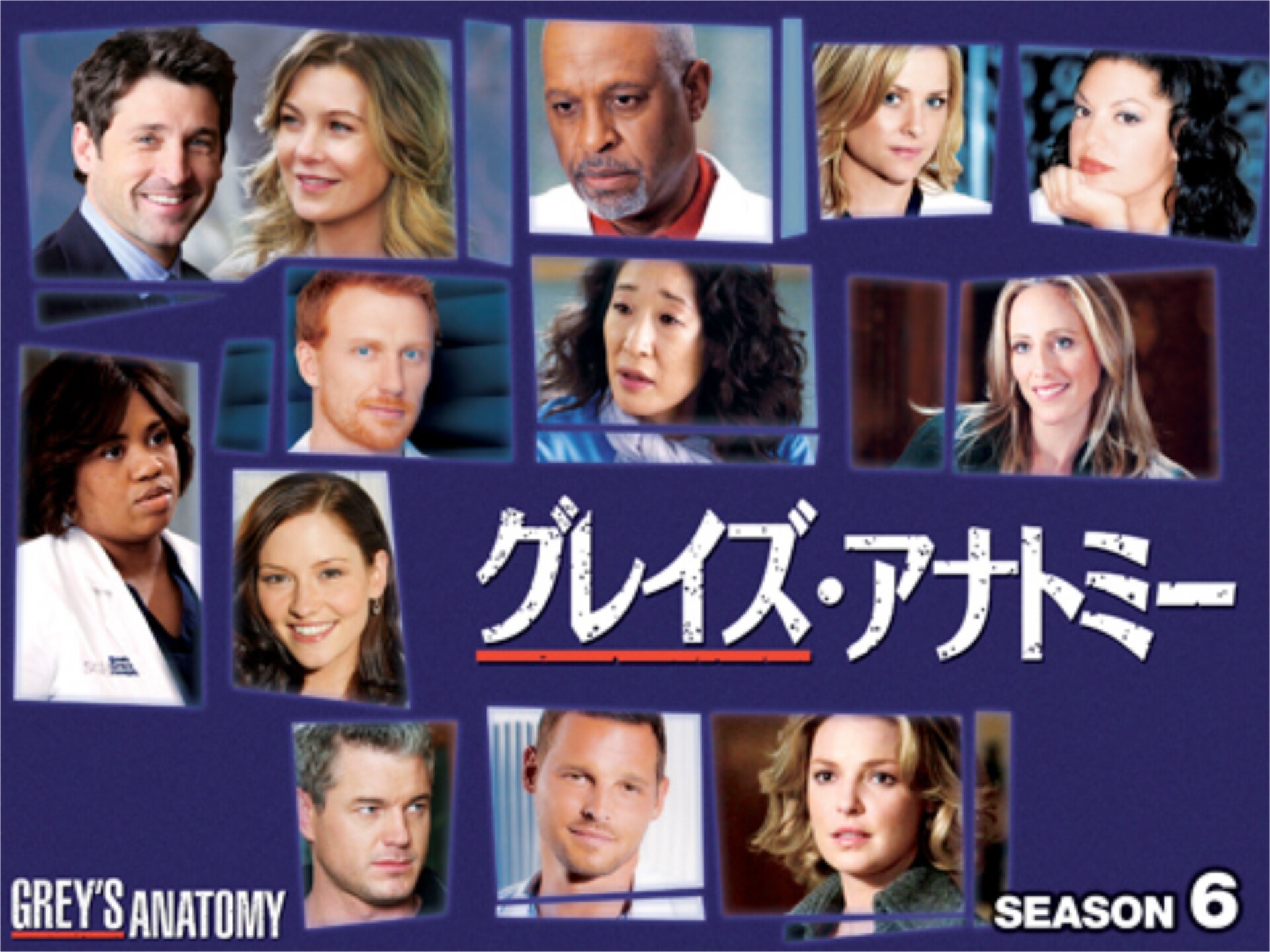 ドラマ グレイズ アナトミー シーズン6 の動画まとめ 初月無料 動画配信サービスのビデオマーケット