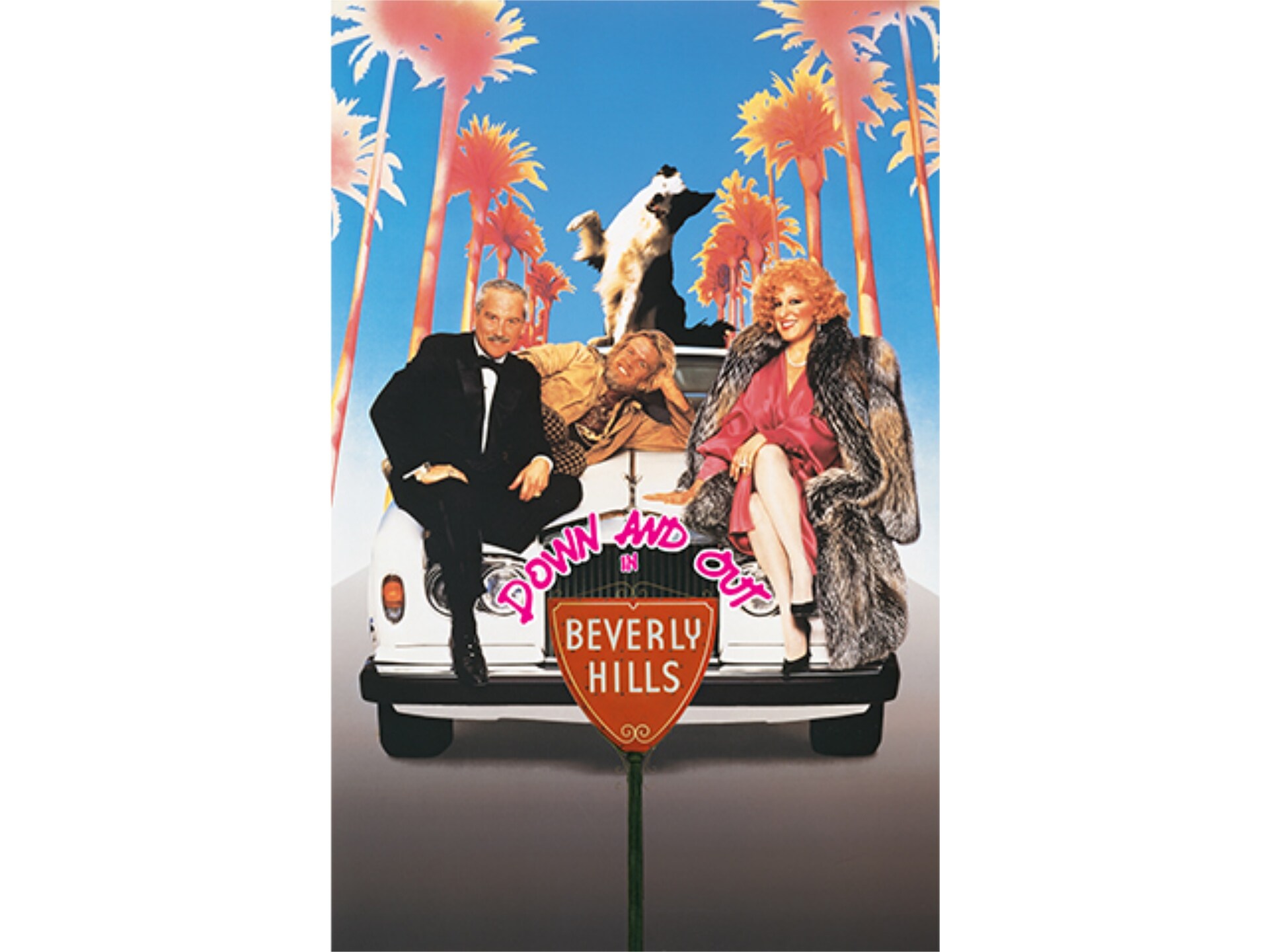 映画 ビバリーヒルズ バム の動画 初月無料 動画配信サービスのビデオマーケット