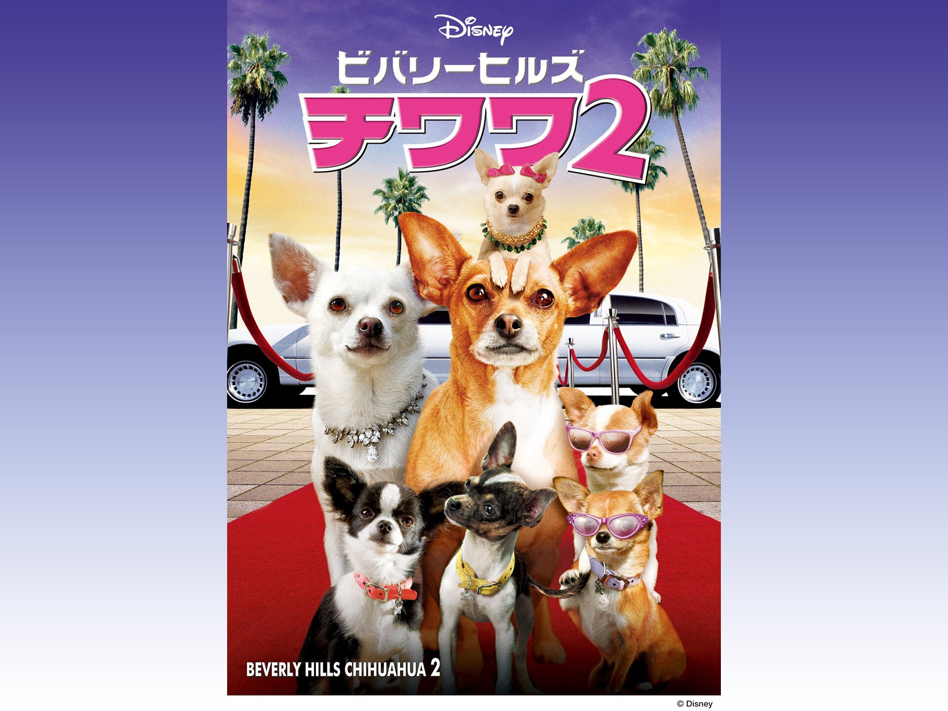 映画 ビバリーヒルズ チワワ2 の動画 初月無料 動画配信サービスのビデオマーケット