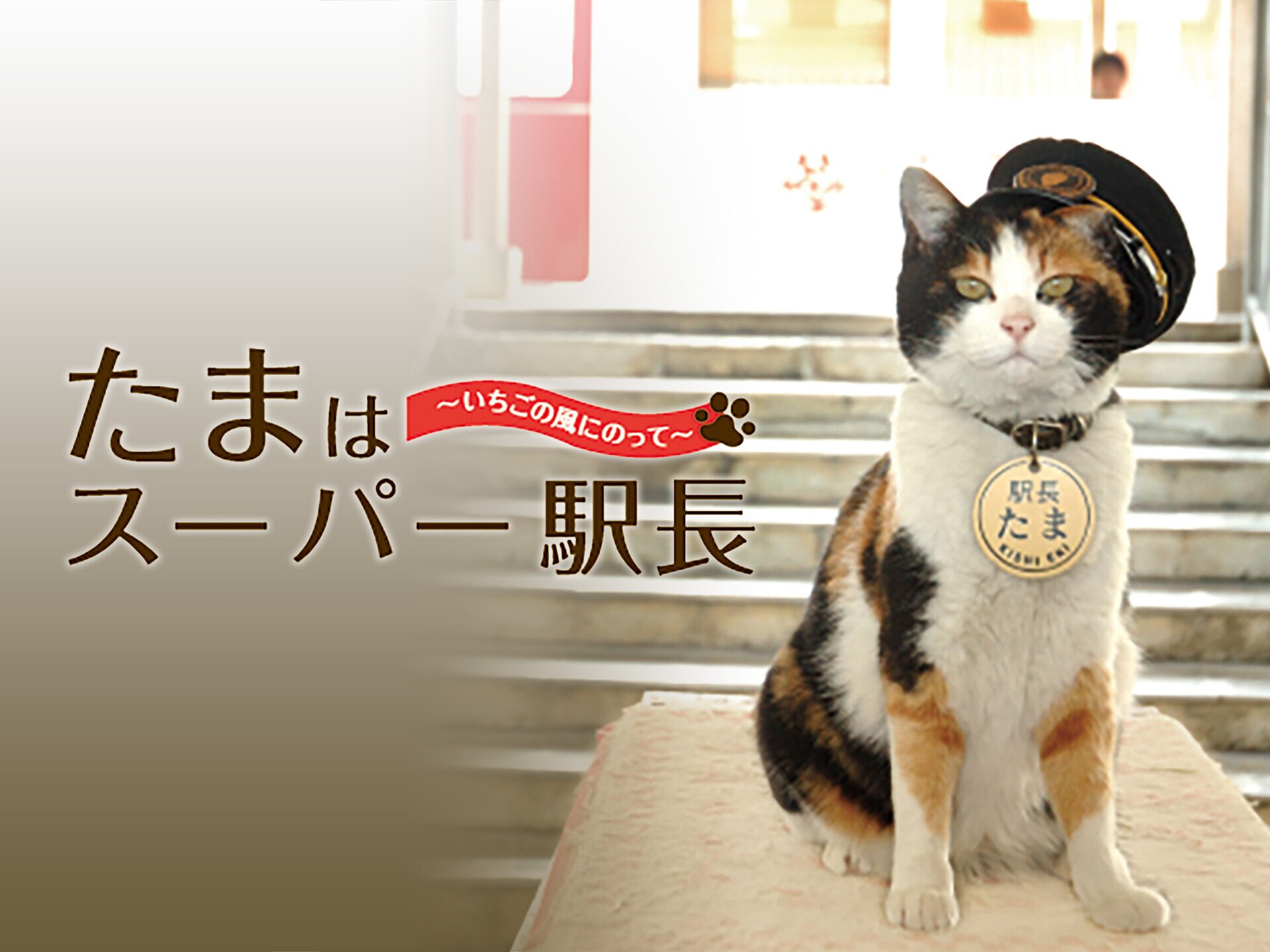 たまのスーパー駅長だより 夢列車に愛をのせて 最大56 Offクーポン