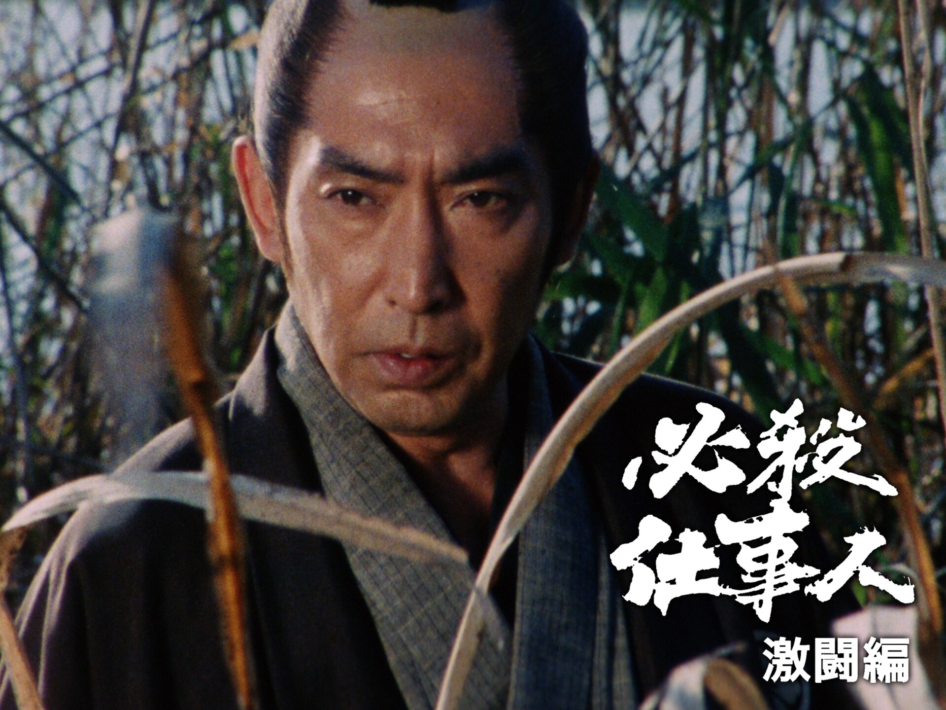 ドラマ 必殺仕事人v 激闘編 第32話 鍛冶屋の政 水中で闘う フル動画 初月無料 動画配信サービスのビデオマーケット