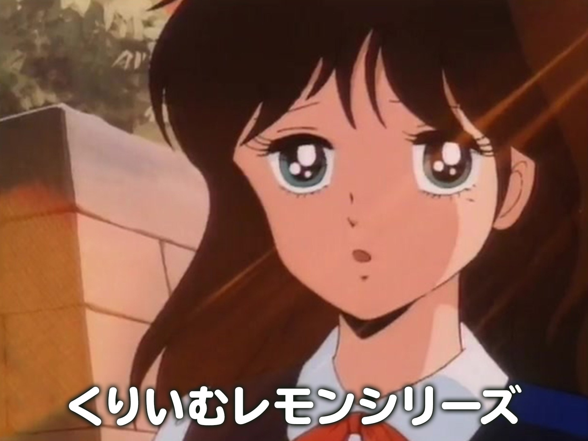 無料視聴あり アニメ くりいむレモンシリーズ の動画まとめ 初月無料 動画配信サービスのビデオマーケット