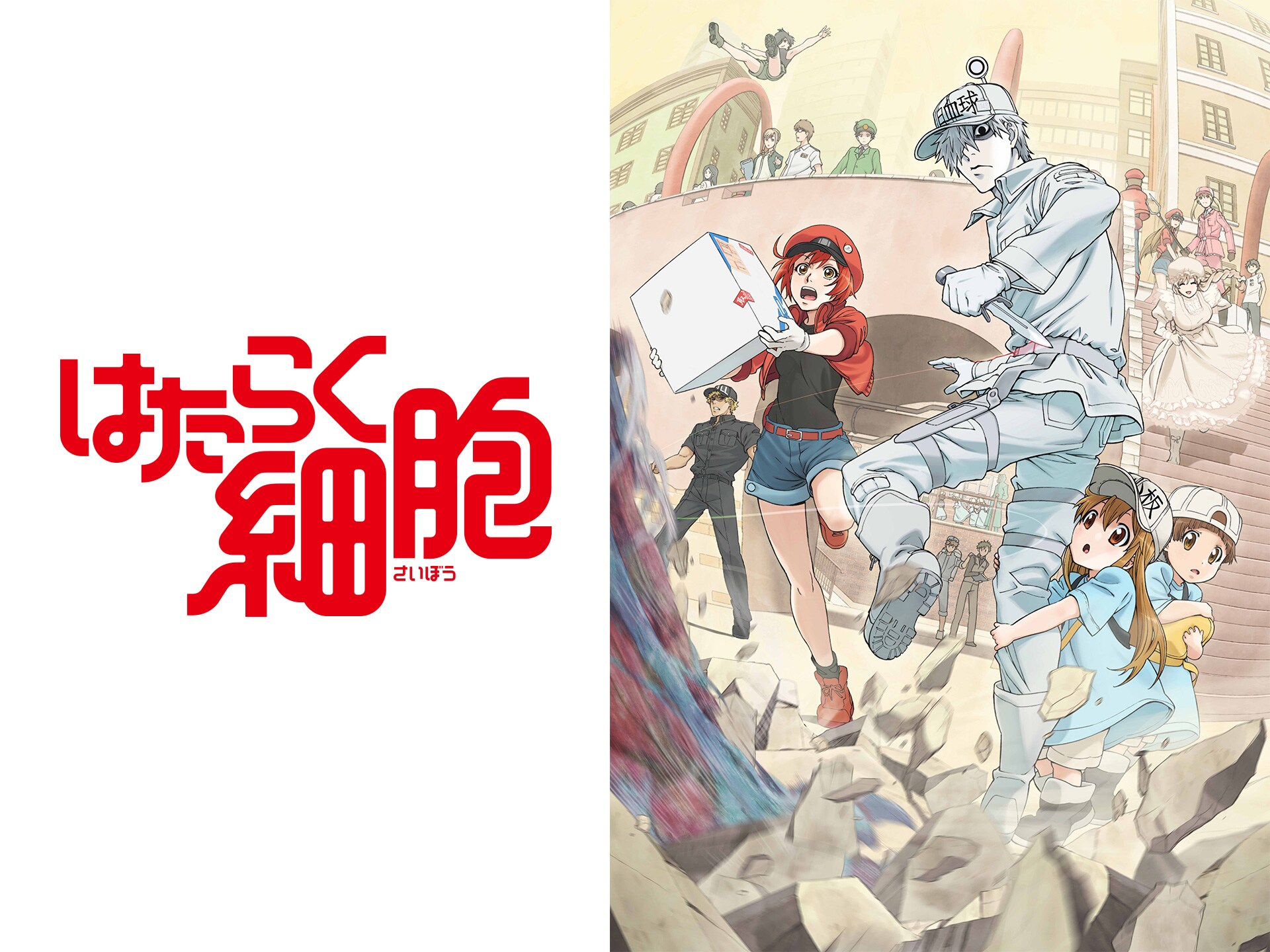 無料視聴あり アニメ はたらく細胞 の動画まとめ 初月無料 動画配信サービスのビデオマーケット