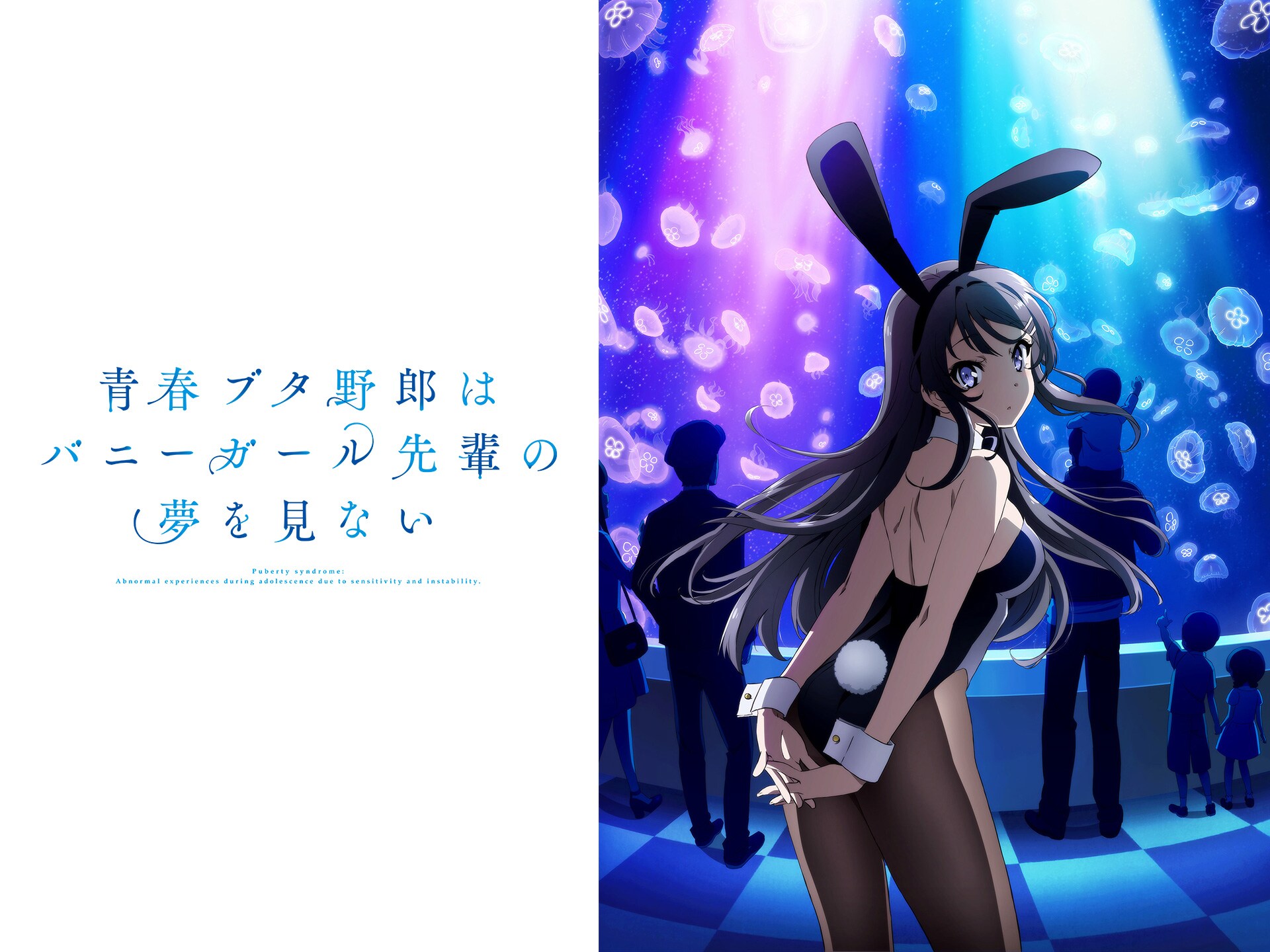 無料視聴あり アニメ 青春ブタ野郎はバニーガール先輩の夢を見ない の動画まとめ 初月無料 動画配信サービスのビデオマーケット