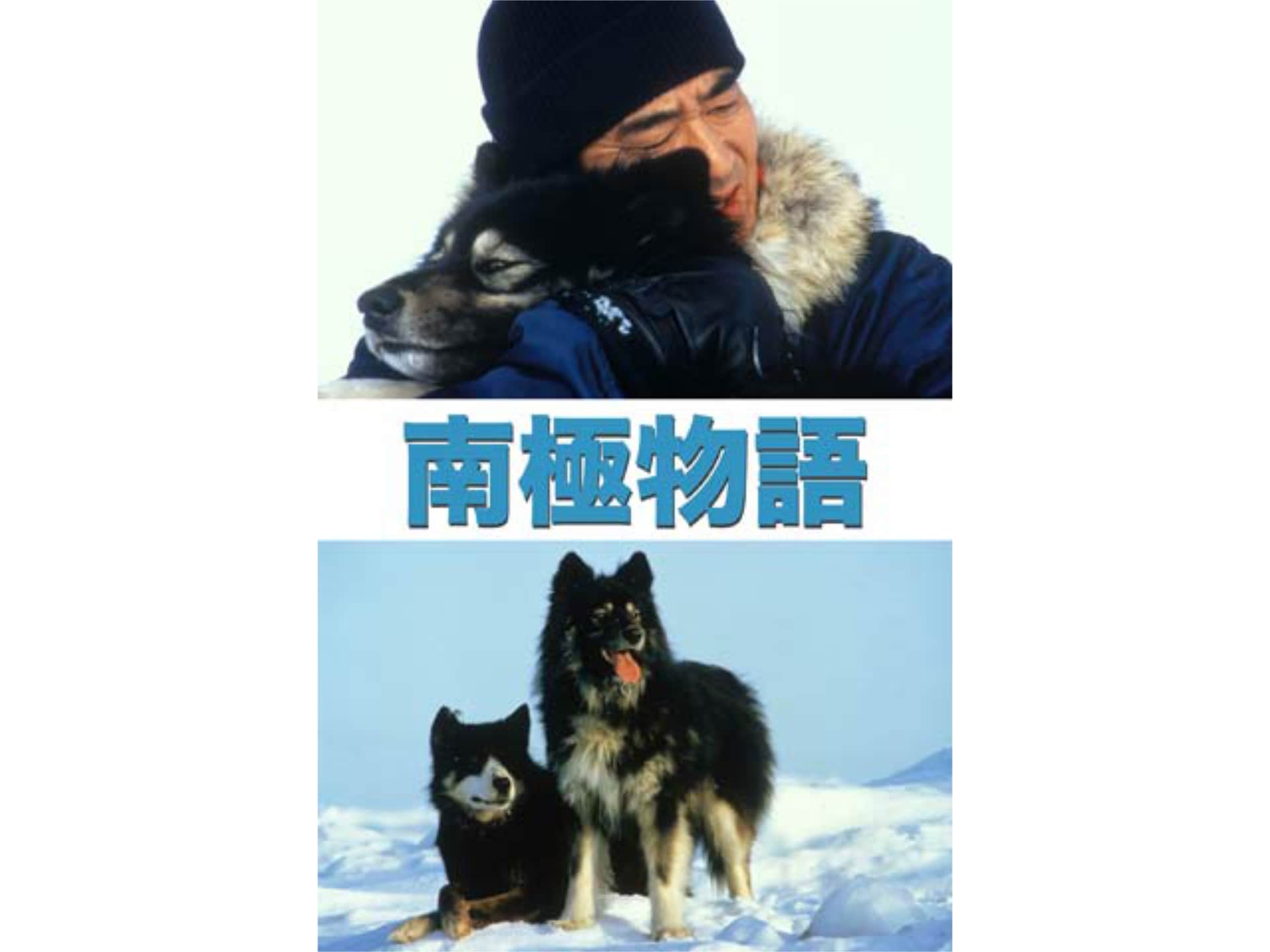 映画 南極物語 Hdリマスター版 の動画 初月無料 動画配信サービスのビデオマーケット