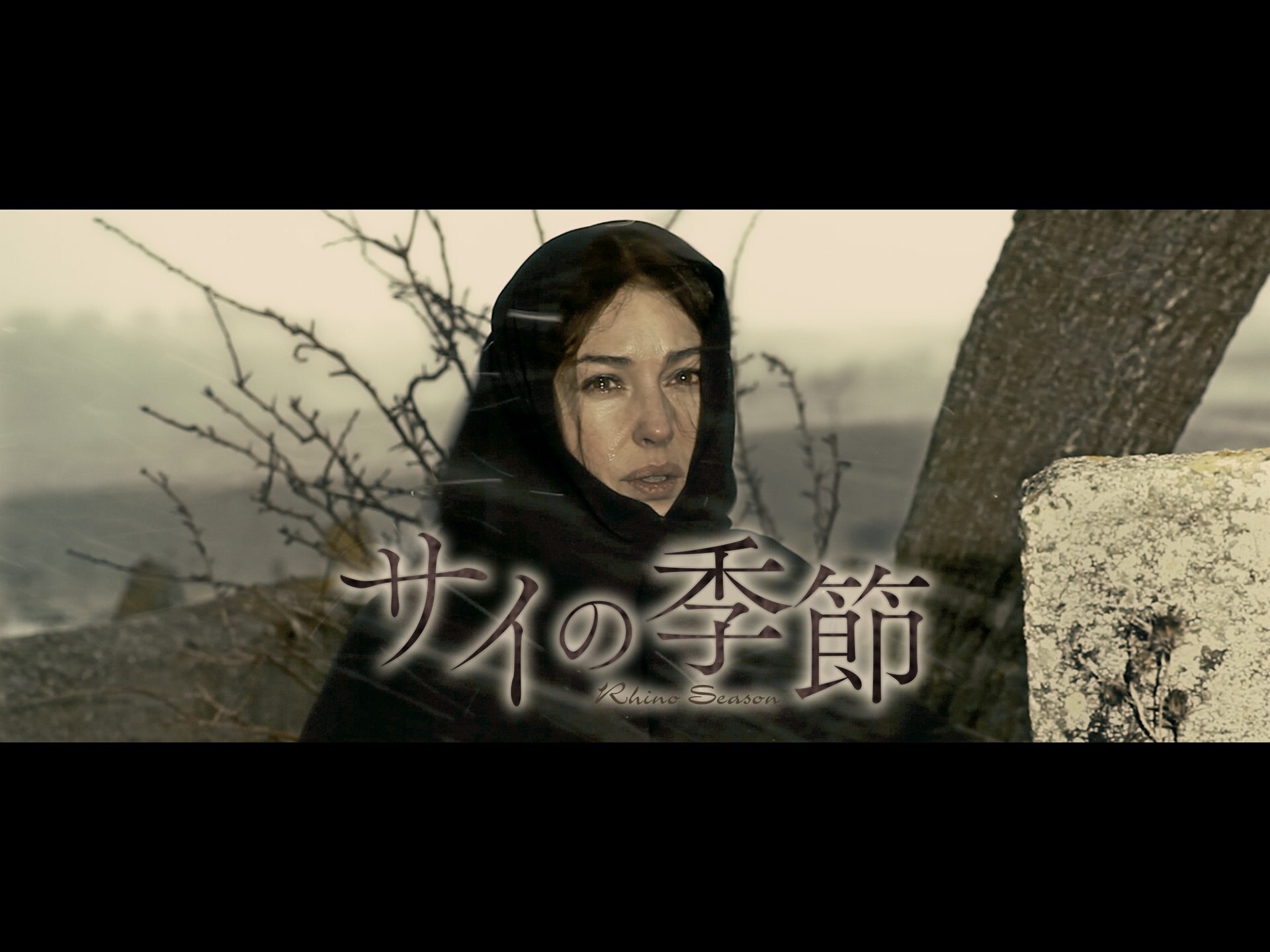 無料視聴あり 映画 サイの季節 の動画 初月無料 動画配信サービスのビデオマーケット