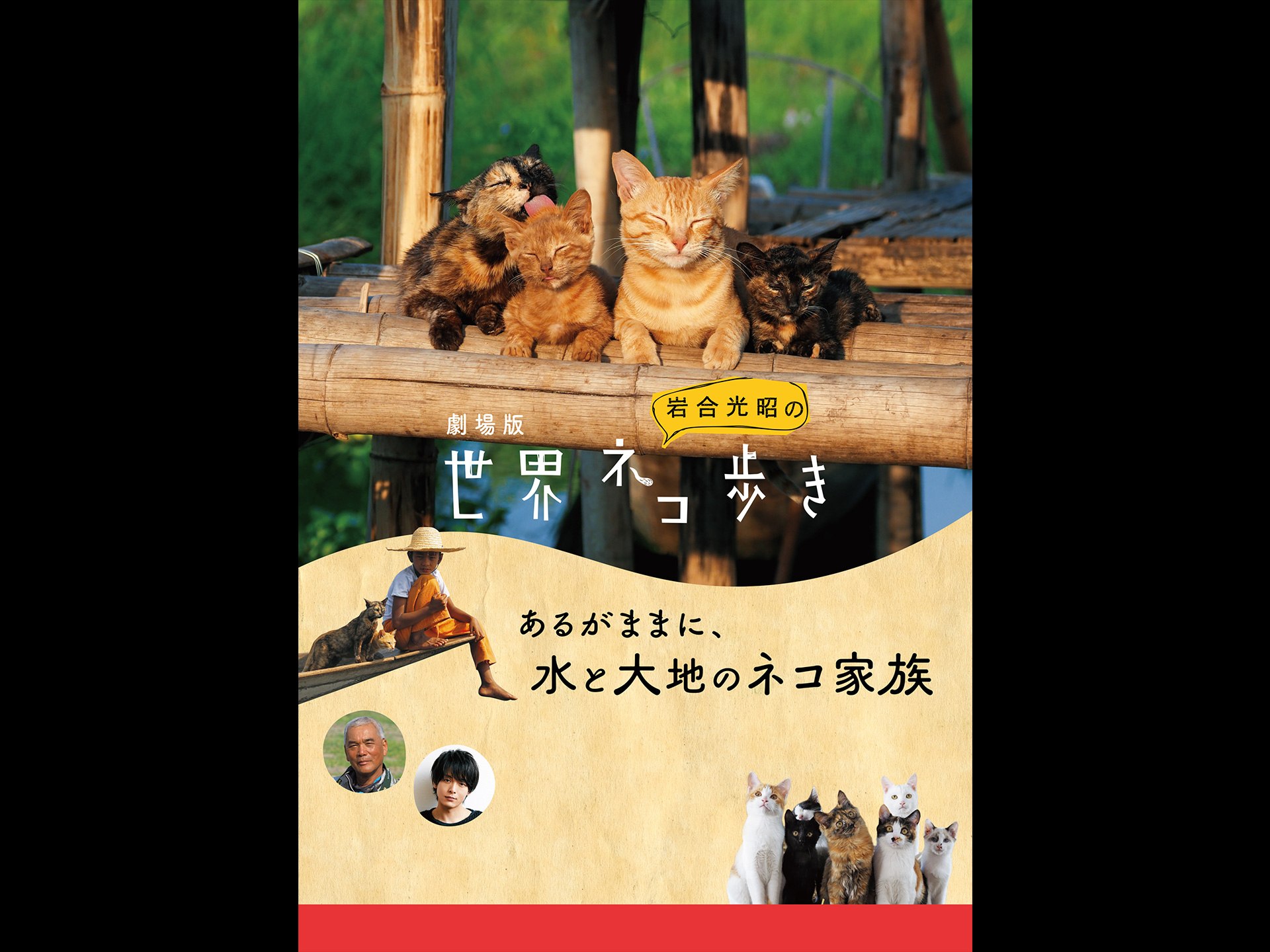 無料視聴あり 映画 劇場版 岩合光昭の世界ネコ歩き あるがままに 水と大地のネコ家族 の動画 初月無料 動画配信サービスのビデオマーケット