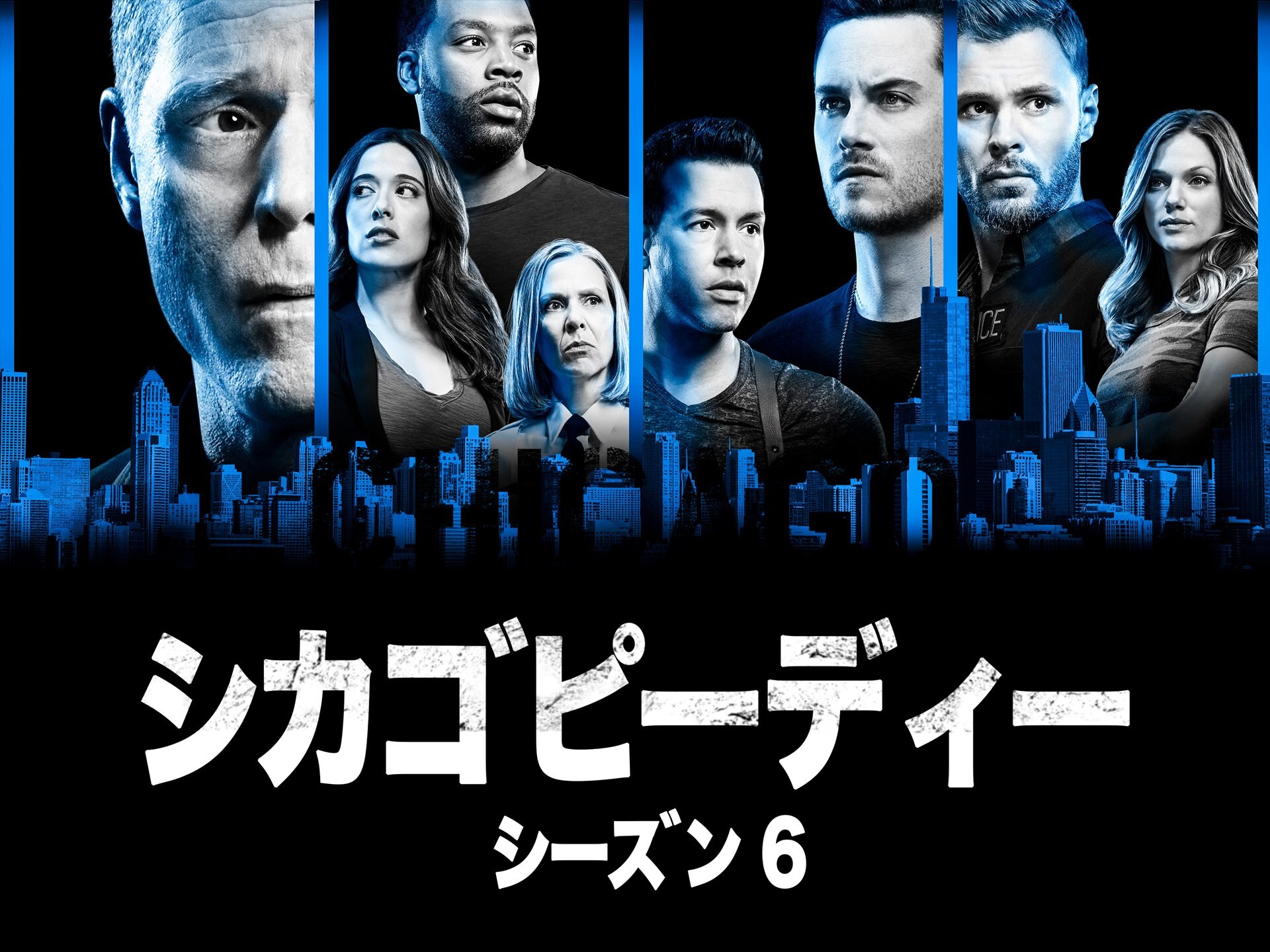 ドラマ シカゴ P D シーズン6 の動画まとめ 初月無料 動画配信サービスのビデオマーケット