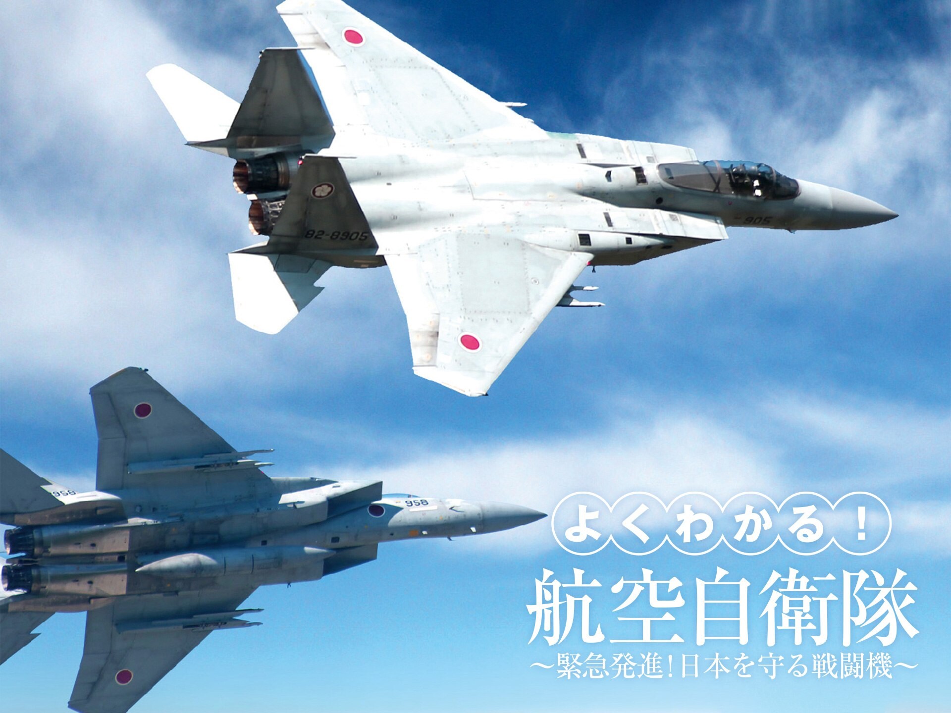 バラエティ よくわかる 航空自衛隊 緊急発進 日本を守る戦闘機 の動画 初月無料 動画配信サービスのビデオマーケット