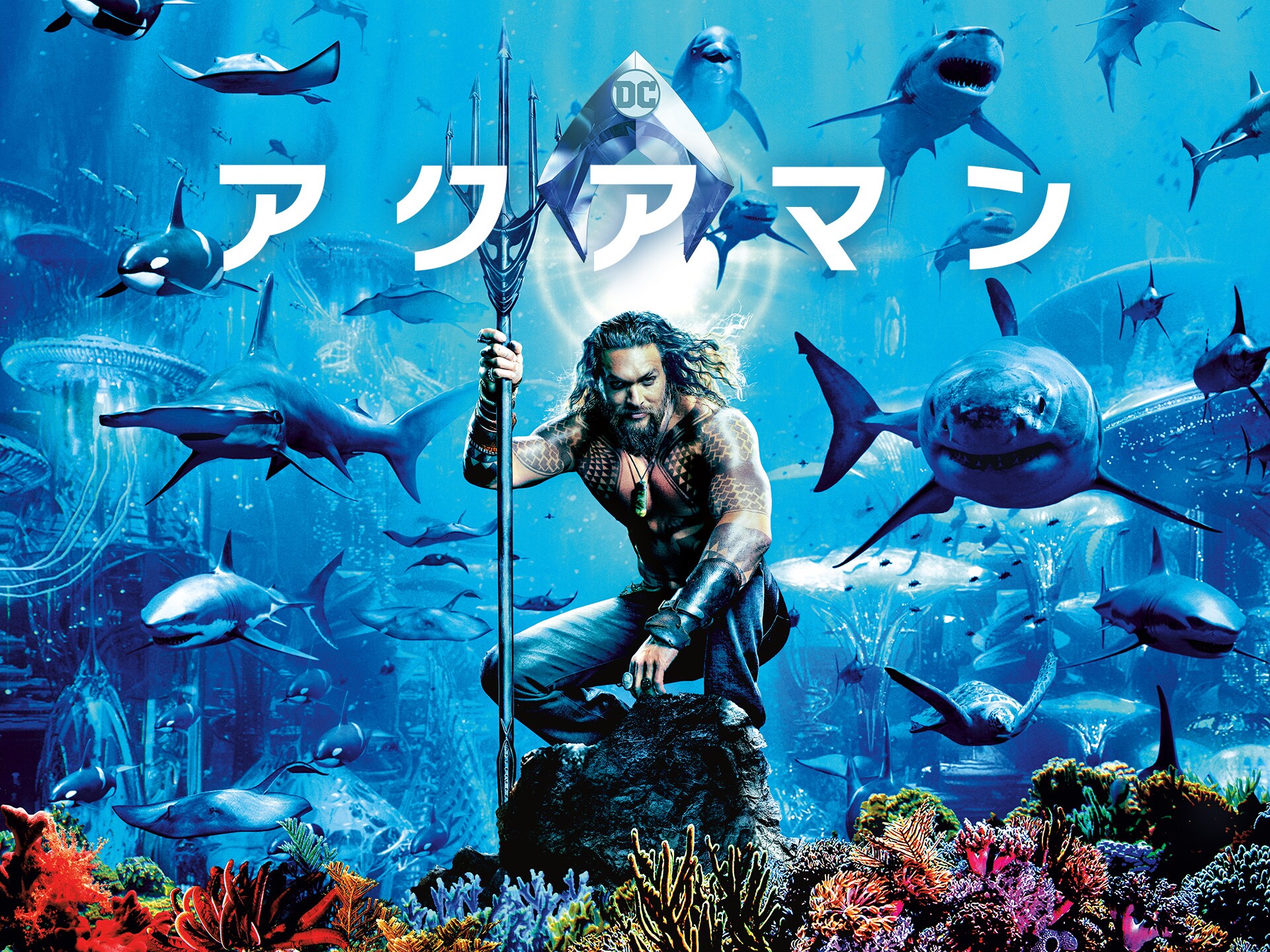 映画 アクアマン アクアマン 吹き替え 字幕版 フル動画 初月無料 動画配信サービスのビデオマーケット 映画 アクアマン アクアマン 吹き替え 字幕版 フル動画 初月無料 動画配信サービスのビデオマーケット