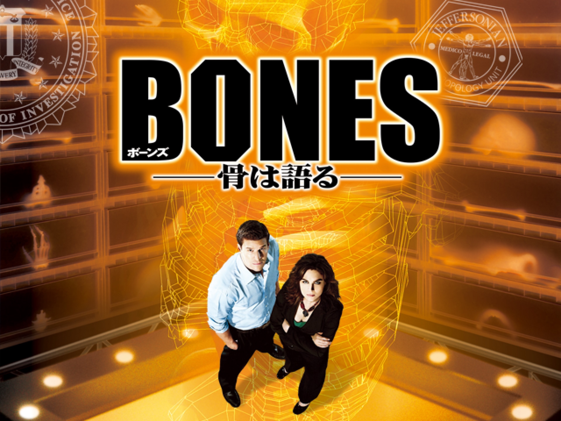 ドラマ Bones 骨は語る シーズン1 の動画まとめ 初月無料 動画配信サービスのビデオマーケット