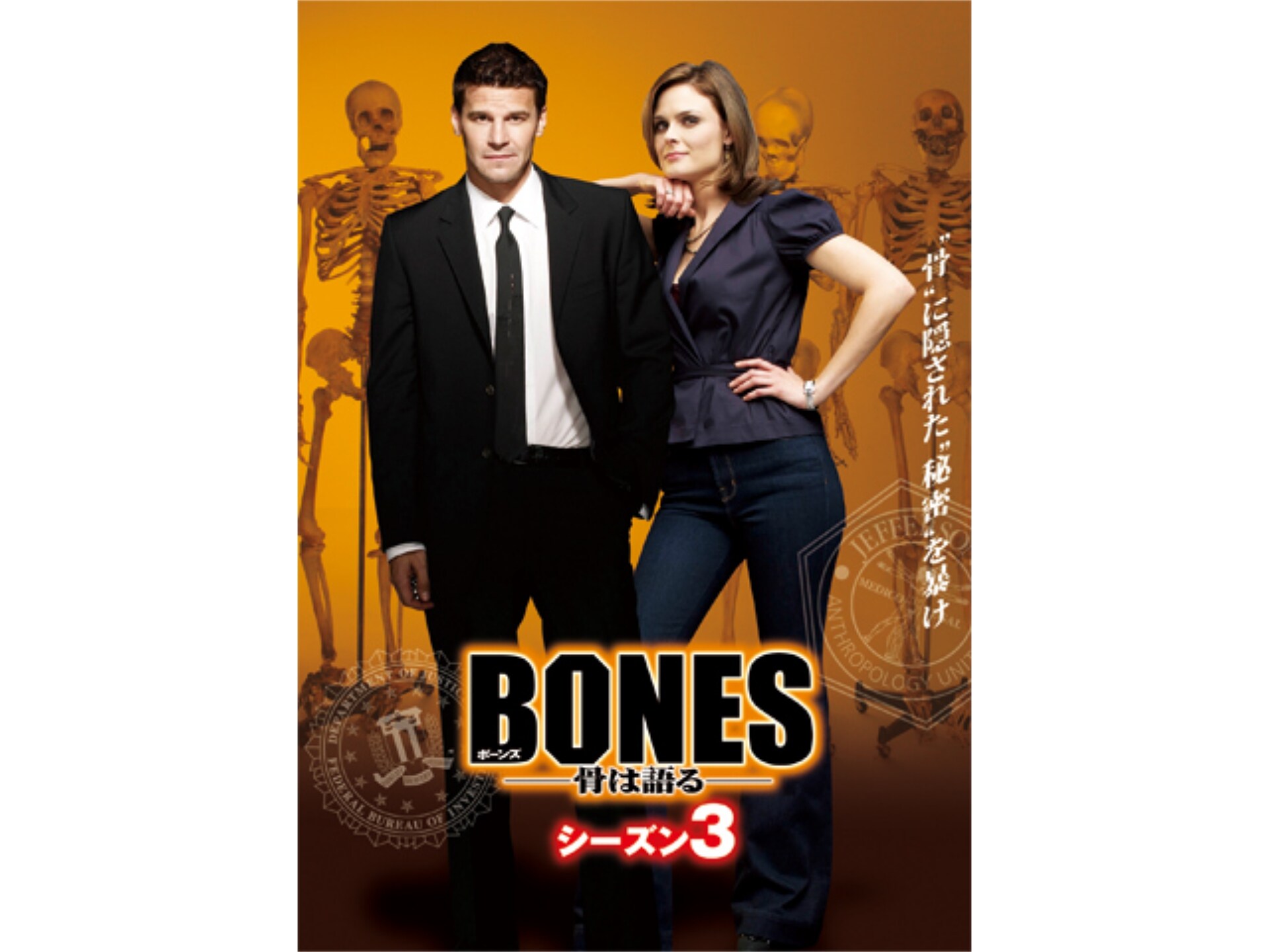 ドラマ Bones 骨は語る シーズン3 の動画まとめ 初月無料 動画配信サービスのビデオマーケット