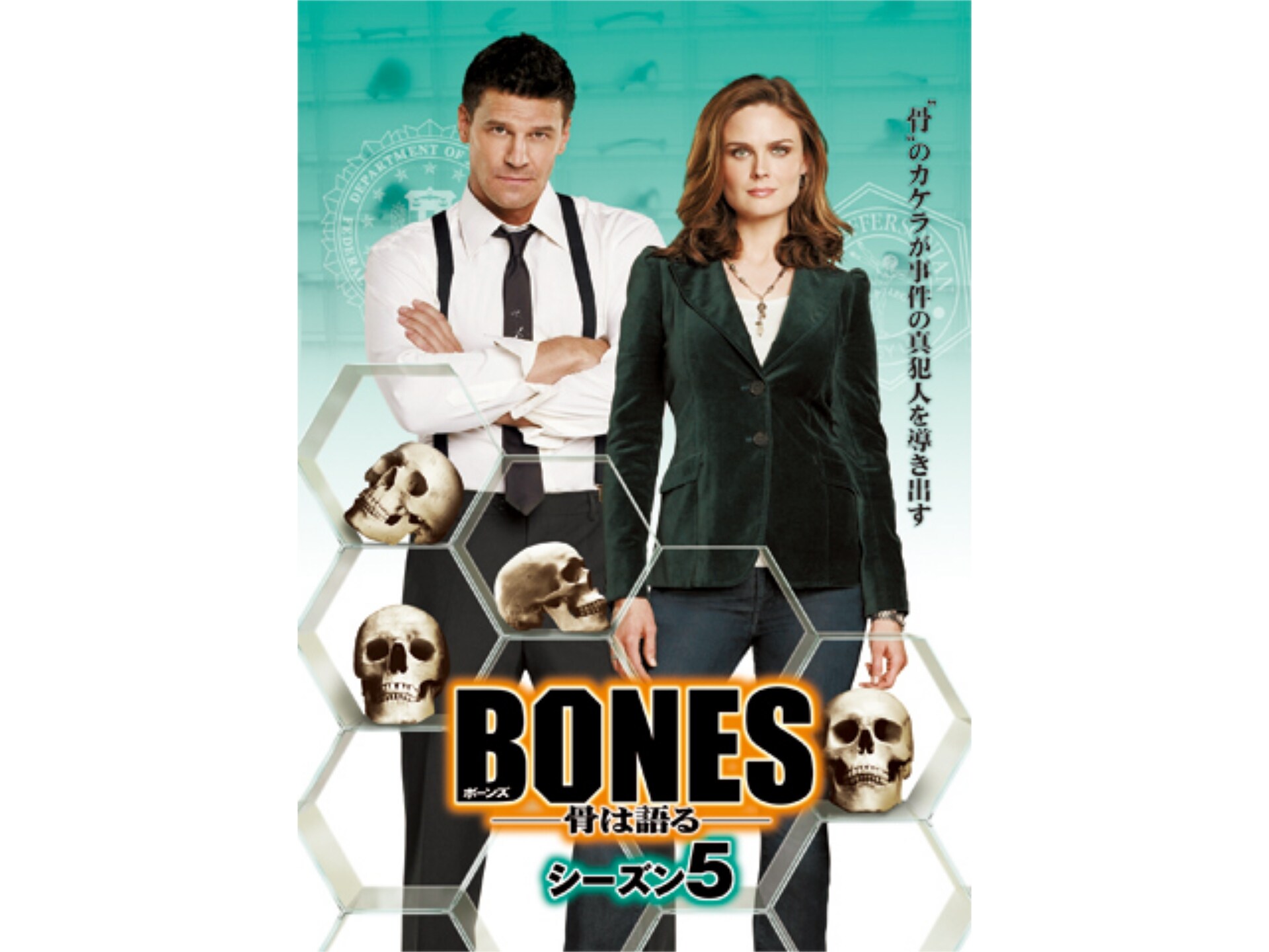 ドラマ Bones 骨は語る シーズン5 の動画まとめ 初月無料 動画配信サービスのビデオマーケット