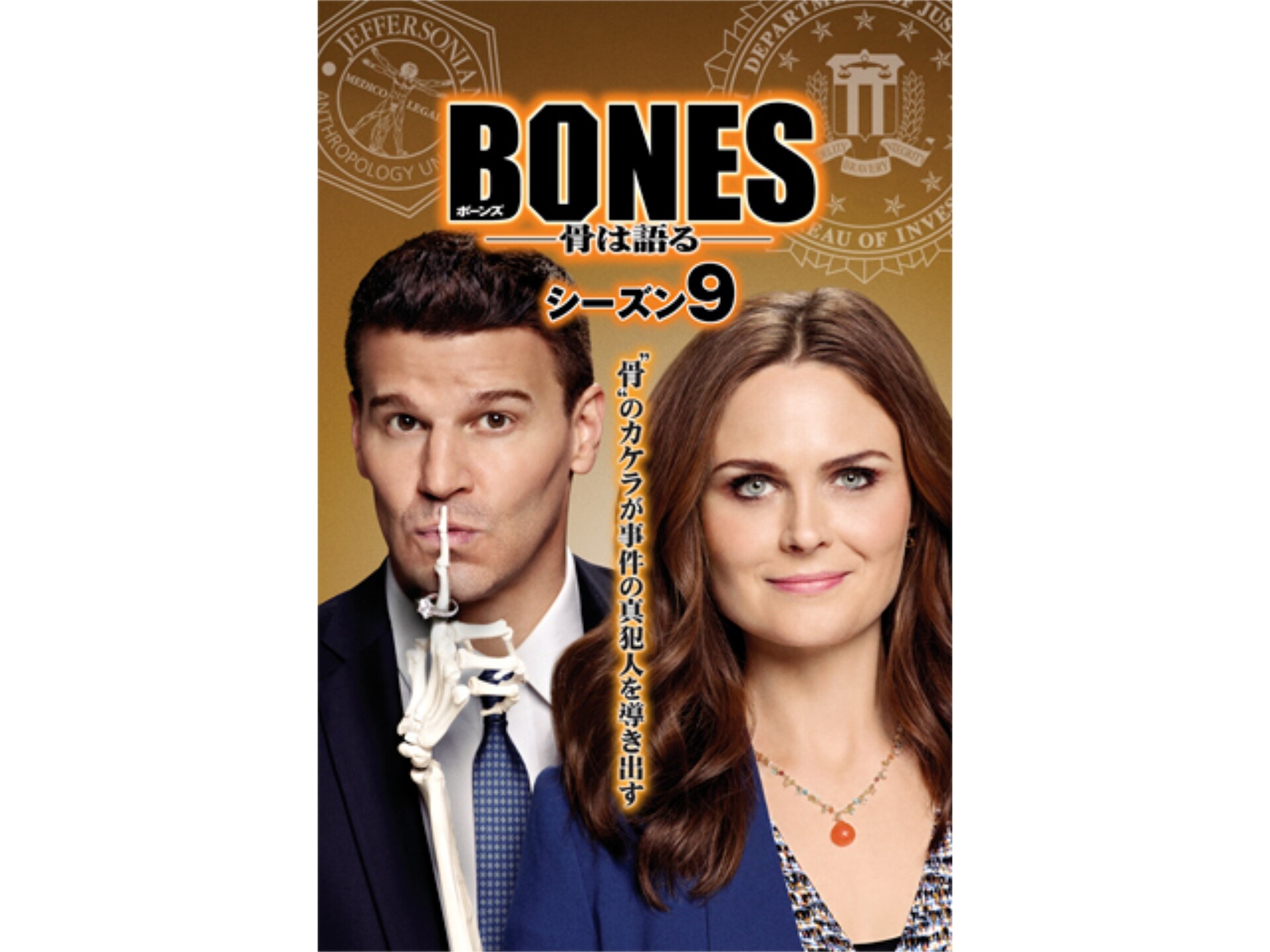 ドラマ Bones 骨は語る シーズン9 の動画まとめ 初月無料 動画配信サービスのビデオマーケット