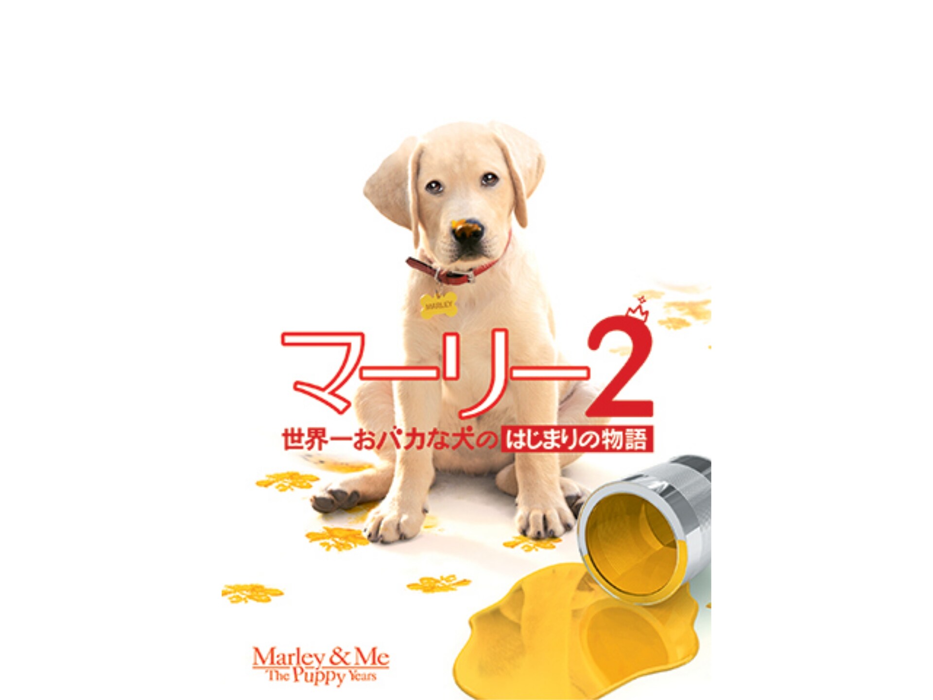 映画 マーリー2 世界一おバカな犬のはじまりの物語 の動画 初月無料 動画配信サービスのビデオマーケット