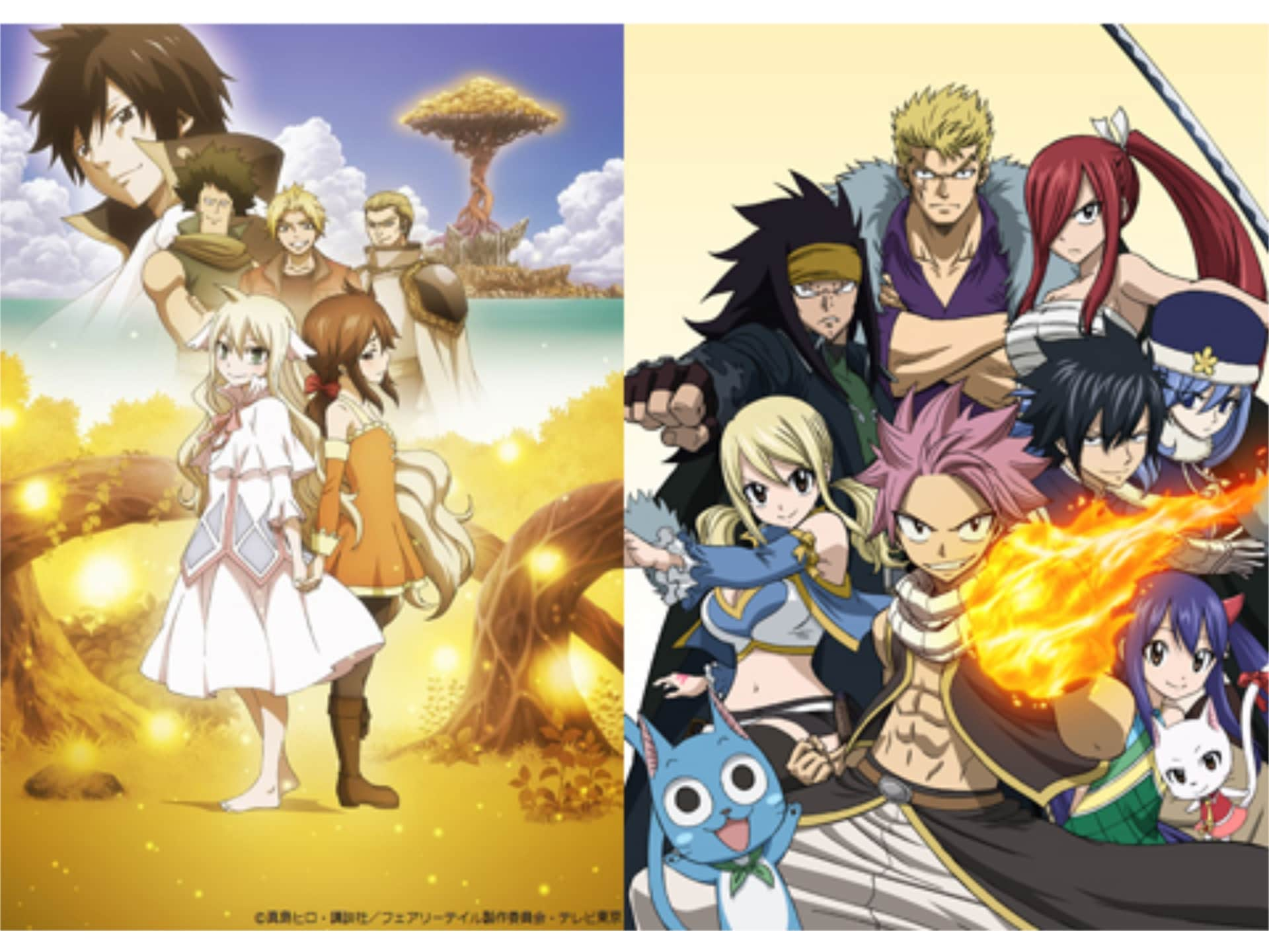 アニメ Fairy Tail 新シリーズ の動画まとめ 初月無料 動画配信サービスのビデオマーケット