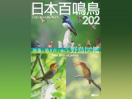 かわいい動物の動画を配信中 初月無料 動画配信サービスのビデオマーケット かわいい動物の動画を配信中 初月無料 動画配信サービスのビデオマーケット