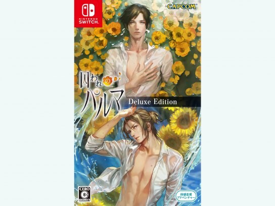 無料視聴あり バラエティ Nintendo Switch 囚われのパルマ プロモーション映像 の動画 初月無料 動画配信サービスのビデオマーケット