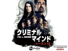 クリミナル マインド の動画まとめ 無料体験 動画配信サービスのビデオマーケット