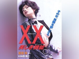 XX 美しき機能